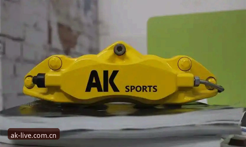 苹果用户亲测：AKSPORTS下载安装全流程实战经验分享
